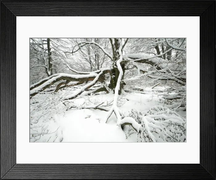 Framed Print : Picture No. 10792243 Framed Print : Picture No. 10792243