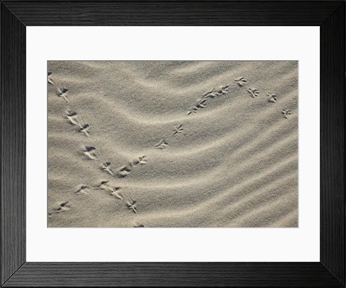Framed Print : Picture No. 10792236 Framed Print : Picture No. 10792236