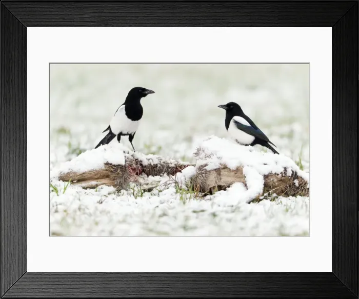 Framed Print : Picture No. 10792675 Framed Print : Picture No. 10792675