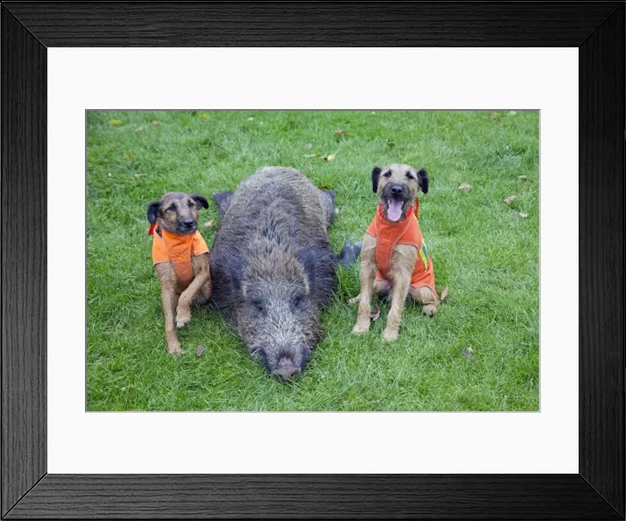 Framed Print : Picture No. 10792560 Framed Print : Picture No. 10792560