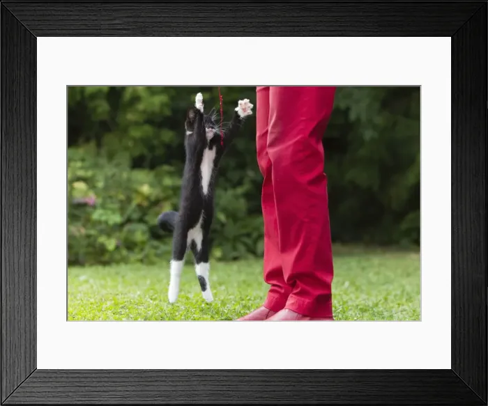 Framed Print : Picture No. 10792902 Framed Print : Picture No. 10792902