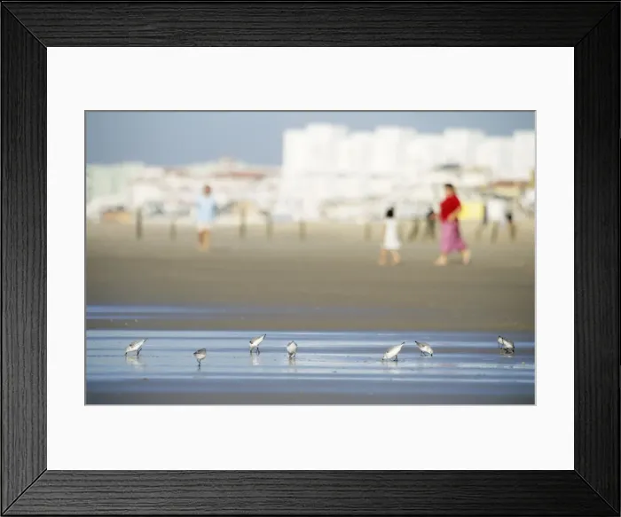 Framed Print : Picture No. 10793204 Framed Print : Picture No. 10793204