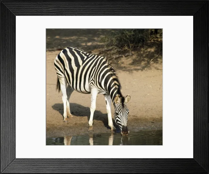 Framed Print : Picture No. 10848133 Framed Print : Picture No. 10848133