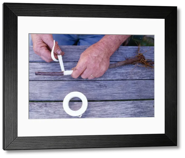 Framed Print : Picture No. 10848267 Framed Print : Picture No. 10848267