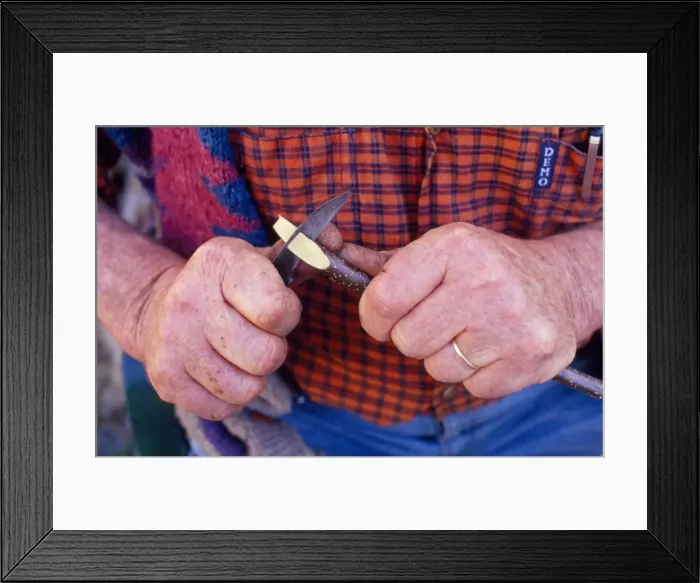 Framed Print : Picture No. 10848274 Framed Print : Picture No. 10848274