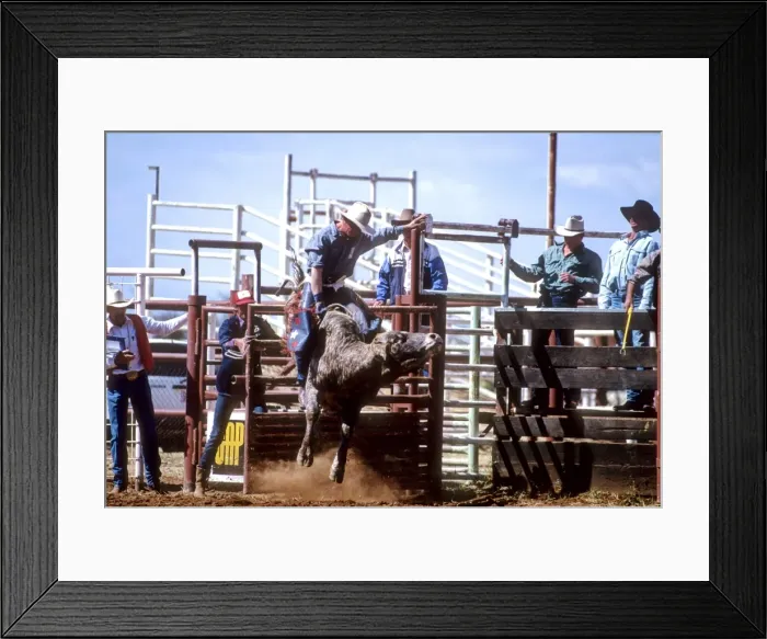 Framed Print : Picture No. 10848269 Framed Print : Picture No. 10848269