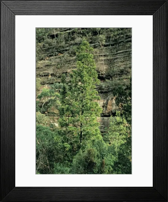 Framed Print : Picture No. 10848289 Framed Print : Picture No. 10848289
