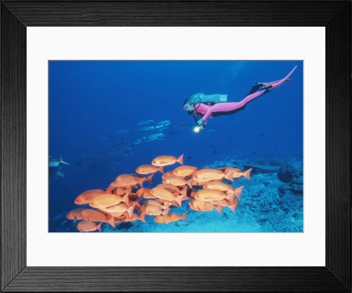 Framed Print : Picture No. 10848301 Framed Print : Picture No. 10848301