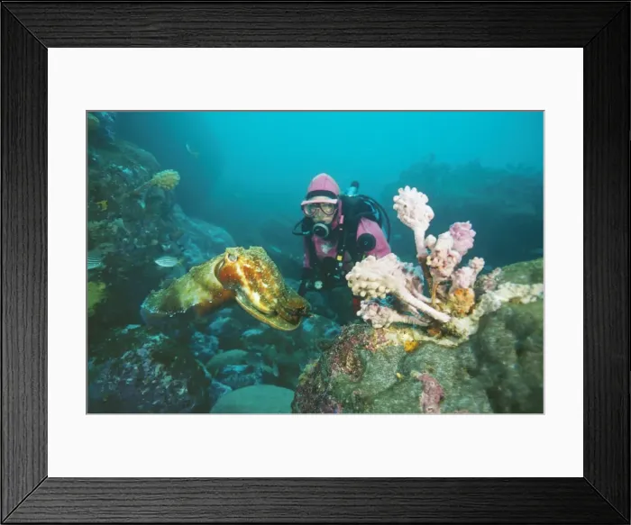 Framed Print : Picture No. 10848313 Framed Print : Picture No. 10848313