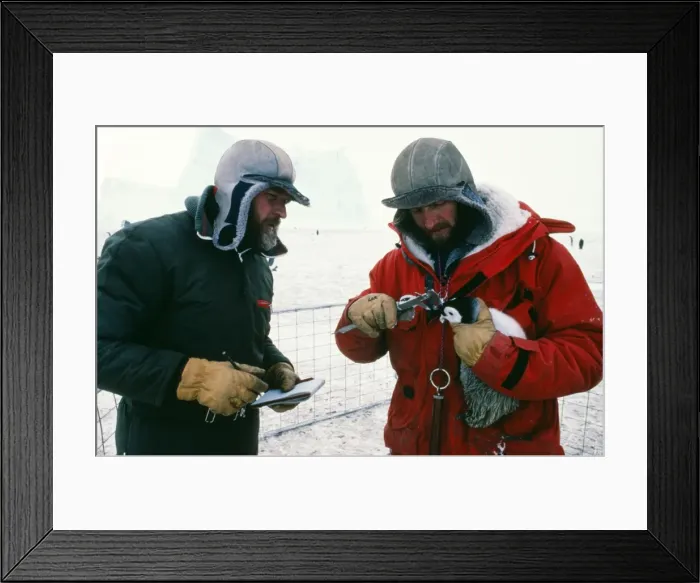 Framed Print : Picture No. 10848343 Framed Print : Picture No. 10848343