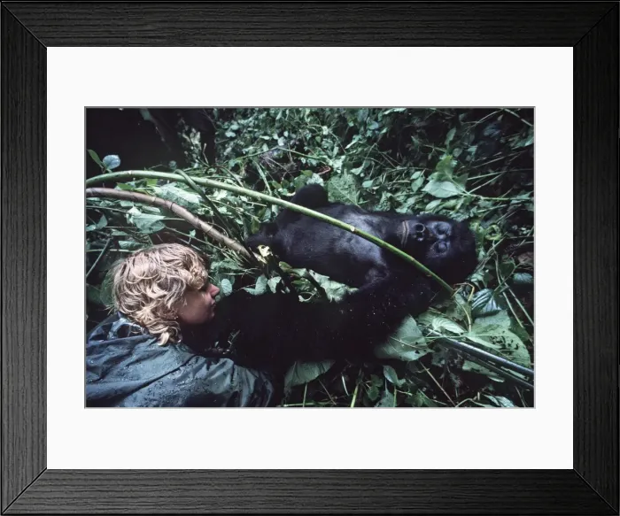 Framed Print : Picture No. 10848355 Framed Print : Picture No. 10848355