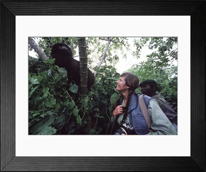 Framed Print : Picture No. 10848356 Framed Print : Picture No. 10848356