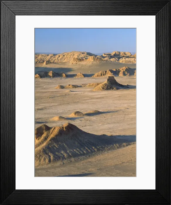Framed Print : Picture No. 10848323 Framed Print : Picture No. 10848323
