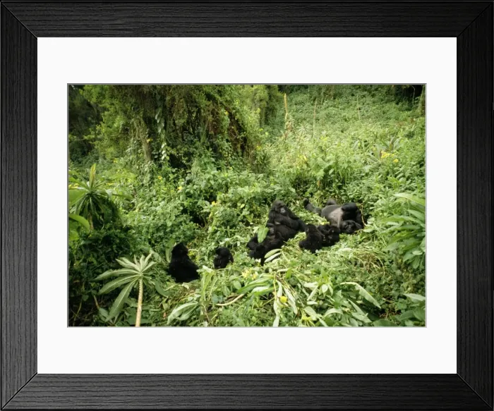 Framed Print : Picture No. 10848358 Framed Print : Picture No. 10848358
