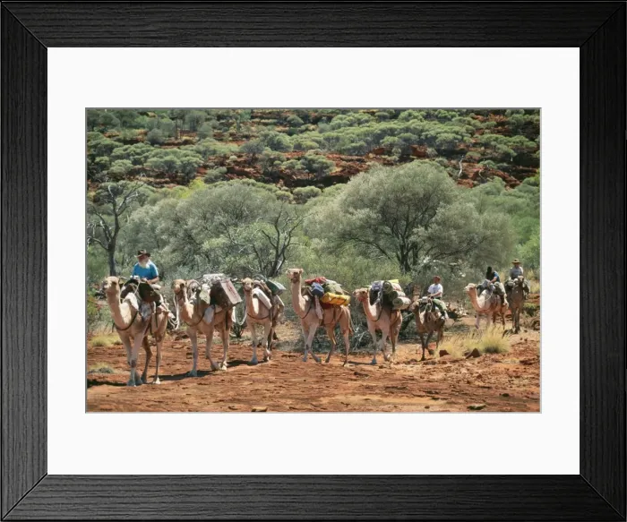 Framed Print : Picture No. 10848338 Framed Print : Picture No. 10848338