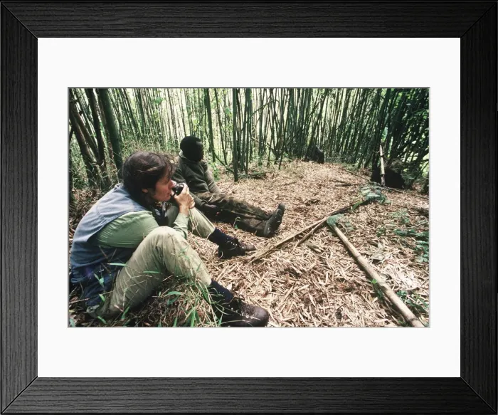 Framed Print : Picture No. 10848361 Framed Print : Picture No. 10848361