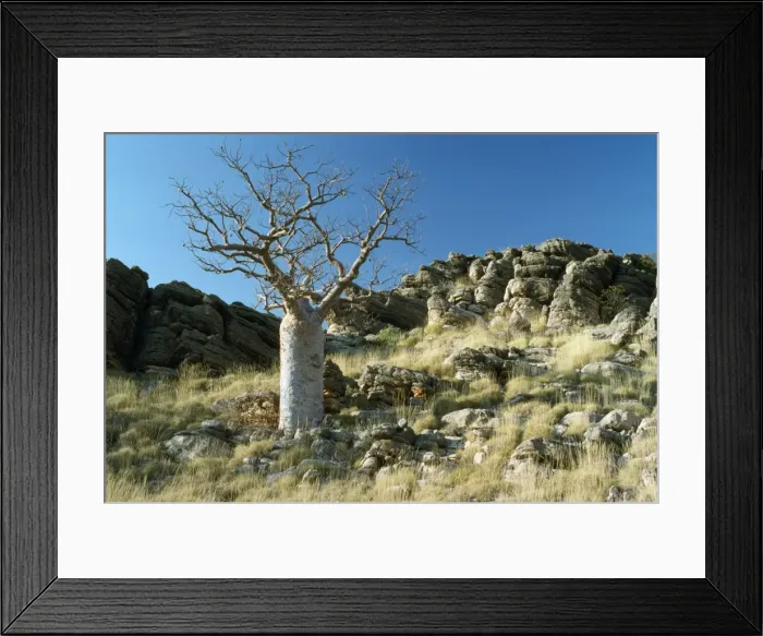 Framed Print : Picture No. 10848384 Framed Print : Picture No. 10848384