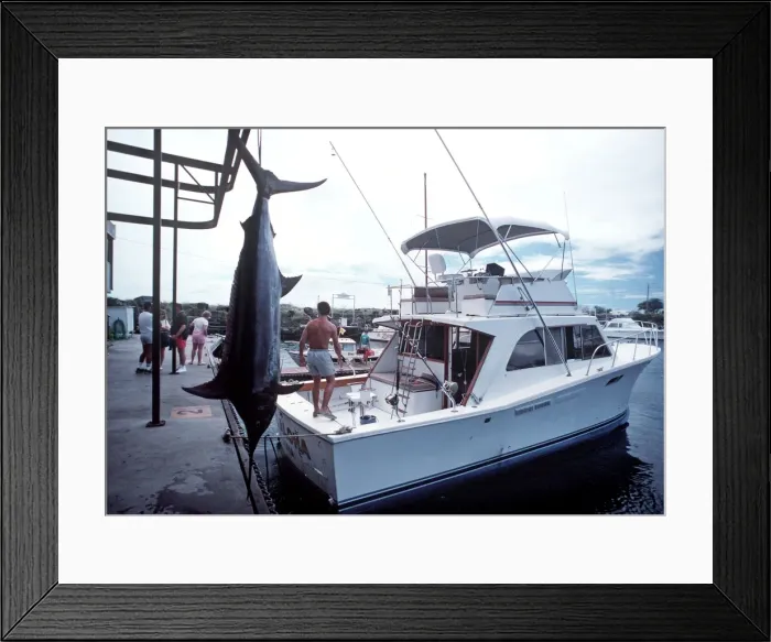 Framed Print : Picture No. 10848411 Framed Print : Picture No. 10848411