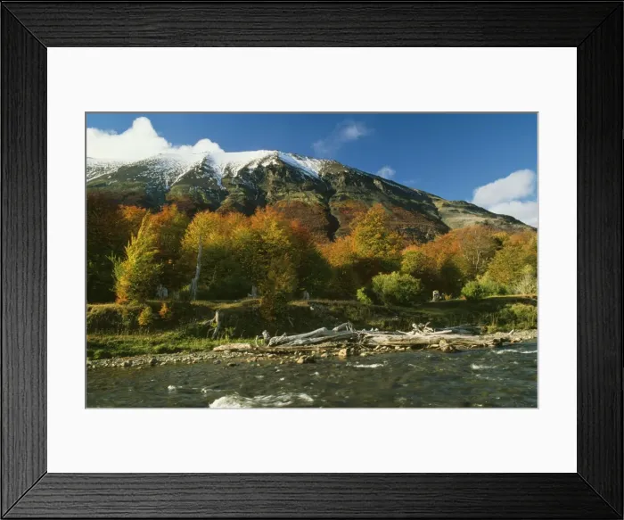 Framed Print : Picture No. 10848423 Framed Print : Picture No. 10848423