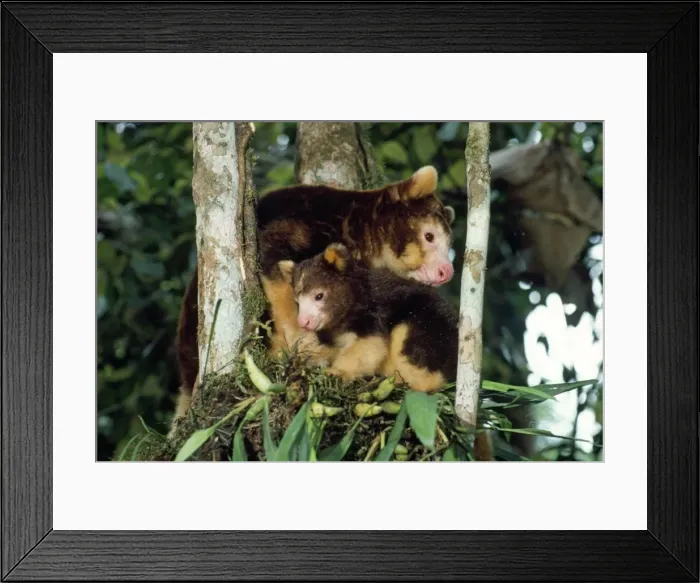 Framed Print : Picture No. 10848435 Framed Print : Picture No. 10848435