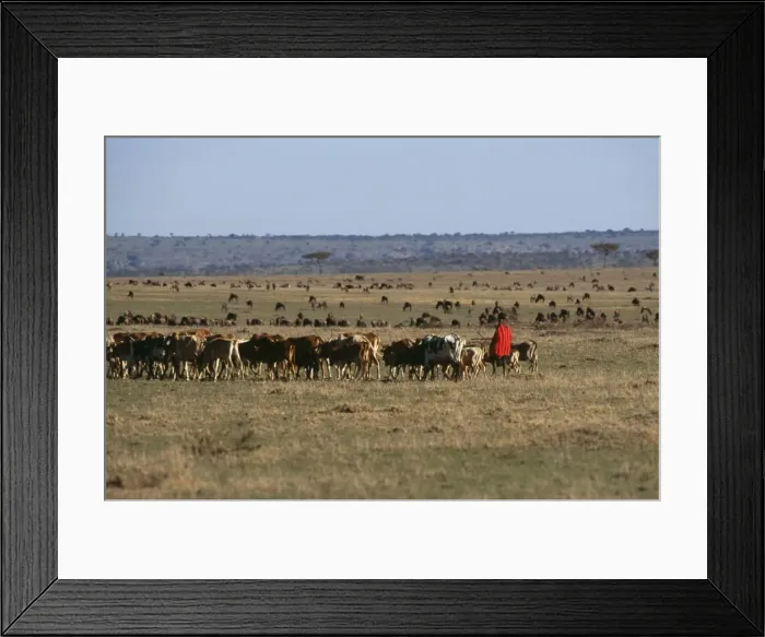 Framed Print : Picture No. 10849327 Framed Print : Picture No. 10849327