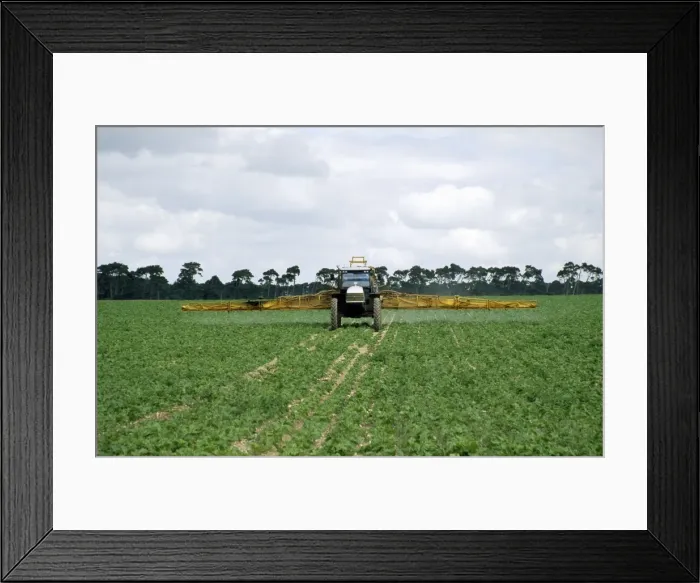 Framed Print : Picture No. 10849323 Framed Print : Picture No. 10849323