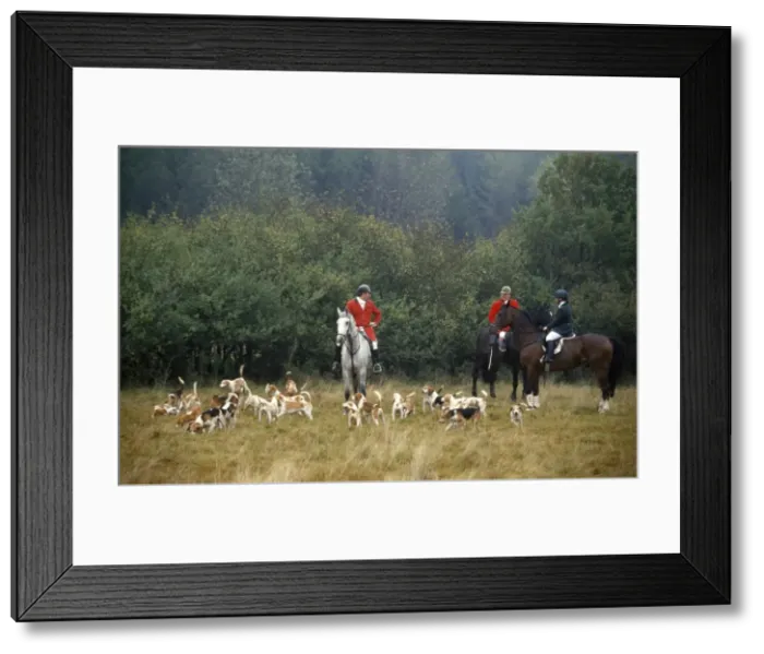 Framed Print : Picture No. 10849500 Framed Print : Picture No. 10849500