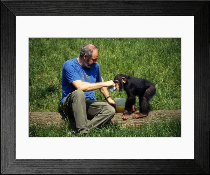 Framed Print : Picture No. 10849498 Framed Print : Picture No. 10849498
