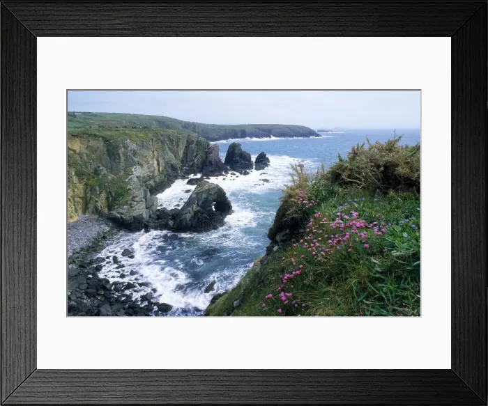 Framed Print : Picture No. 10849642 Framed Print : Picture No. 10849642