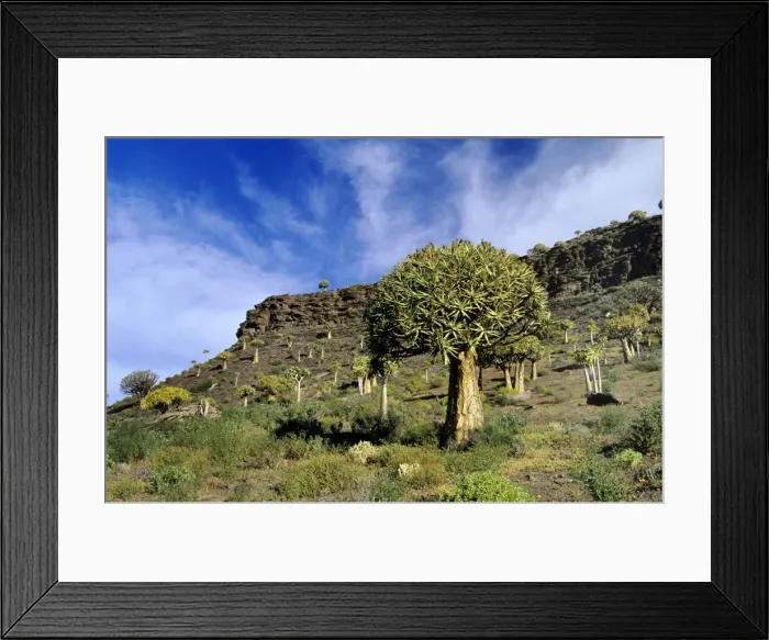 Framed Print : Picture No. 10849629 Framed Print : Picture No. 10849629