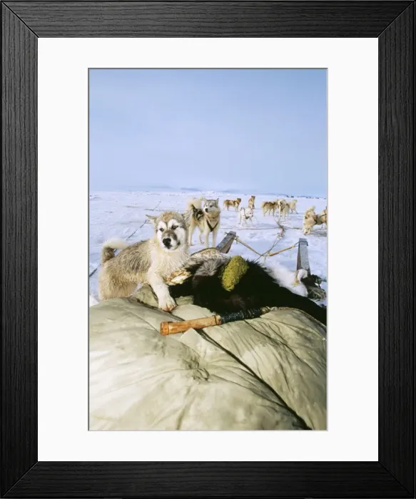 Framed Print : Picture No. 10849894 Framed Print : Picture No. 10849894