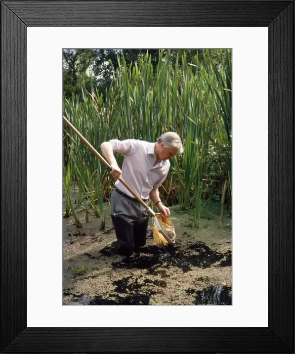 Framed Print : Picture No. 10849975 Framed Print : Picture No. 10849975