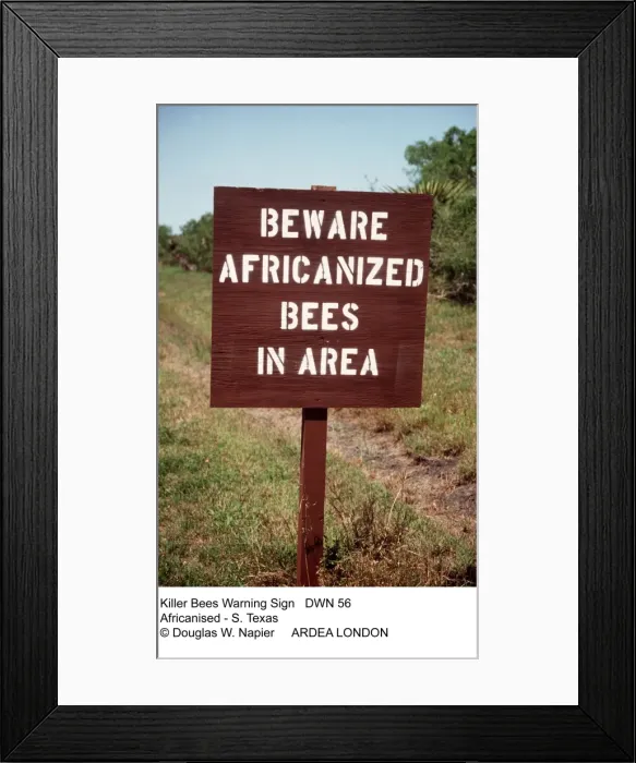 Framed Print : Picture No. 10849976 Framed Print : Picture No. 10849976