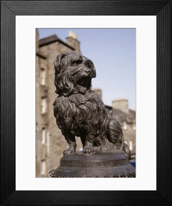 Framed Print : Picture No. 10849985 Framed Print : Picture No. 10849985