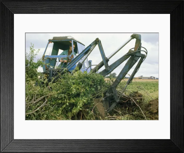 Framed Print : Picture No. 10850090 Framed Print : Picture No. 10850090