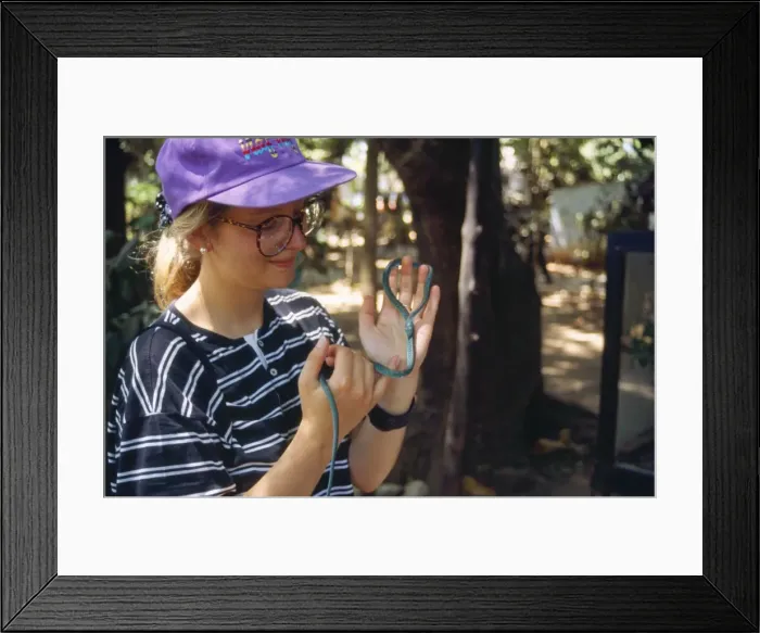 Framed Print : Picture No. 10849980 Framed Print : Picture No. 10849980