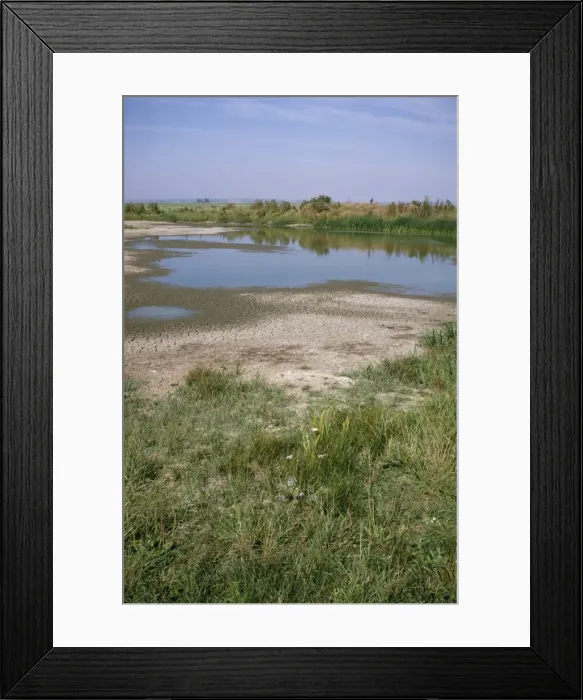 Framed Print : Picture No. 10849981 Framed Print : Picture No. 10849981