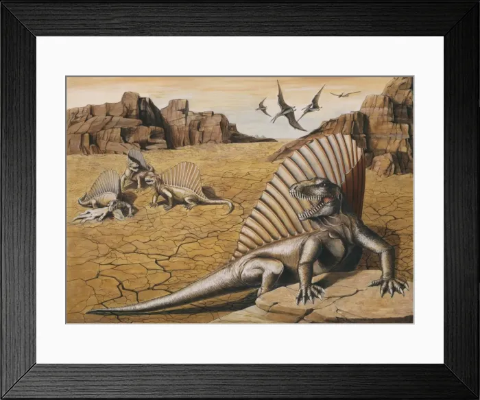 Framed Print : Picture No. 10850124 Framed Print : Picture No. 10850124