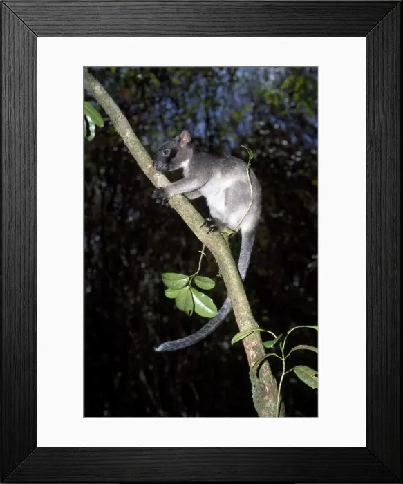 Framed Print : Picture No. 10851386 Framed Print : Picture No. 10851386