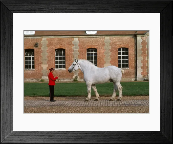 Framed Print : Picture No. 10851407 Framed Print : Picture No. 10851407
