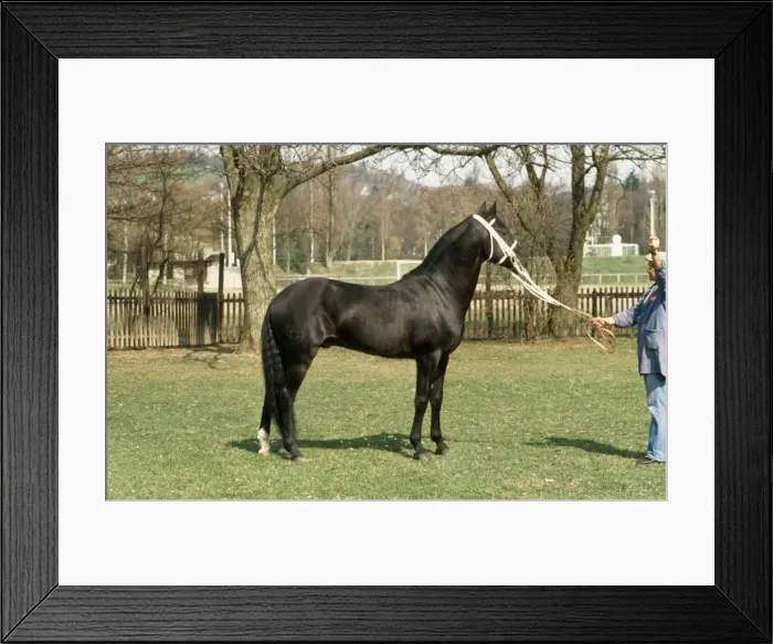Framed Print : Picture No. 10851426 Framed Print : Picture No. 10851426