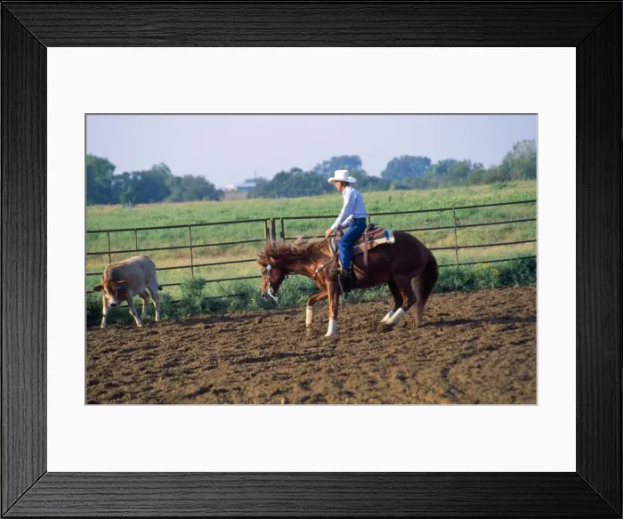 Framed Print : Picture No. 10851434