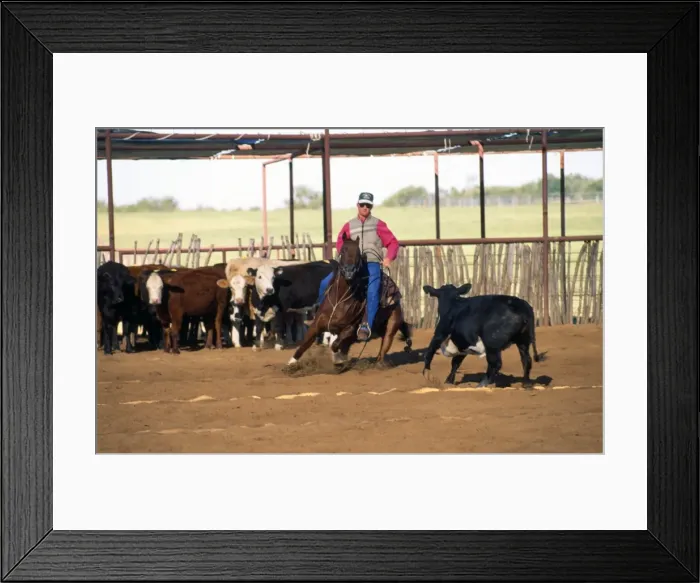 Framed Print : Picture No. 10851433 Framed Print : Picture No. 10851433