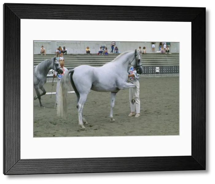 Framed Print : Picture No. 10851429 Framed Print : Picture No. 10851429