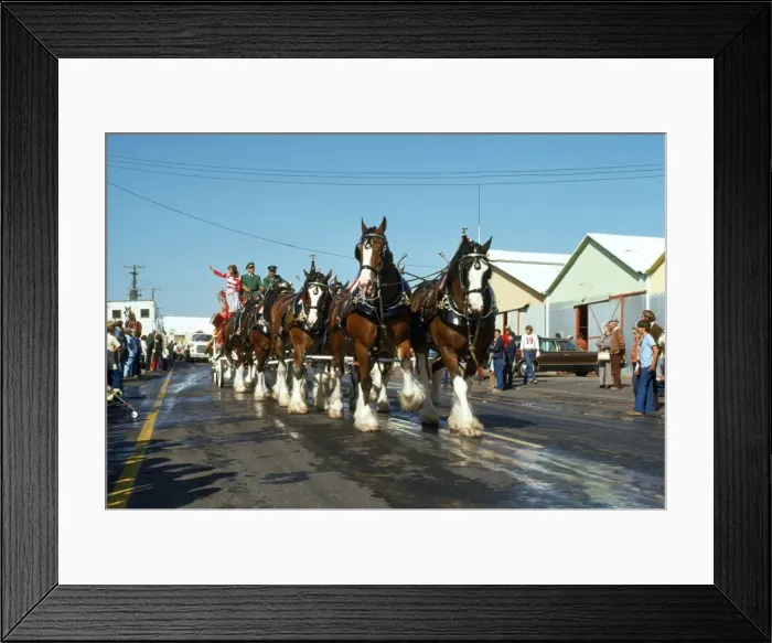 Framed Print : Picture No. 10851408 Framed Print : Picture No. 10851408