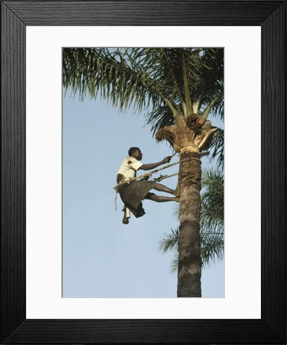 Framed Print : Picture No. 10851517
