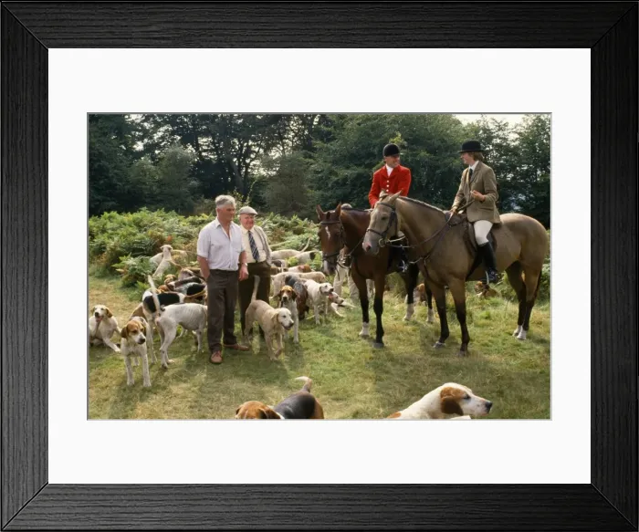 Framed Print : Picture No. 10851575 Framed Print : Picture No. 10851575