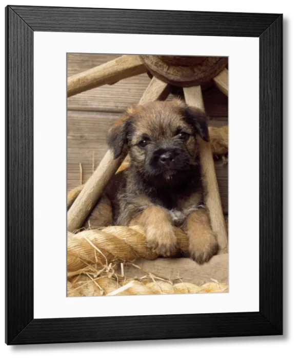 Framed Print : Picture No. 10851780 Framed Print : Picture No. 10851780