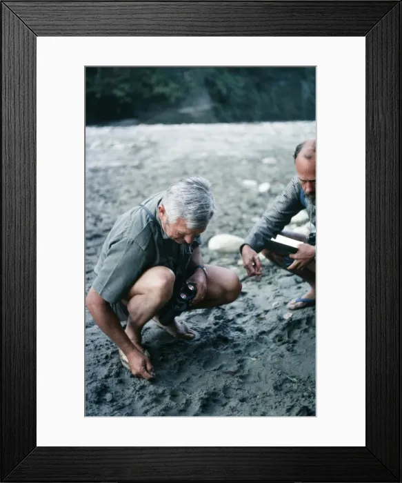 Framed Print : Picture No. 10851795 Framed Print : Picture No. 10851795