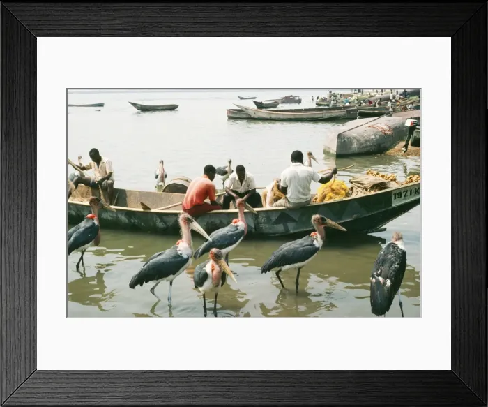 Framed Print : Picture No. 10851805 Framed Print : Picture No. 10851805